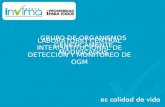 GRUPO DE ORGANISMOS GENÉTICAMENTE MODIFICADOS LABORATORIO CENTRAL INTERISNTITUCIONAL DE DETECCIÓN Y MONITOREO DE OGM.