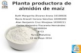 Planta productora de almidón de maíz Ruth Margarita Álvarez Arana 10100026 Rocío Araceli Corona Sánchez 10300200 Alan Benjamín Cruz Hinojosa 10300211 Carlos.