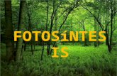 ¿Qué es la fotosíntesis? Proceso que transforma la luz solar en la energía que requieren las funciones vitales de los seres vivos. Principal fuente de.
