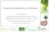 Sistemas Energéticos con Biomasa Sonia Rincón Grupo de Investigación en Biomasa y Optimización Térmica de Procesos – BIOT Universidad Nacional de Colombia.