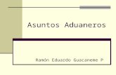 Asuntos Aduaneros Ramón Eduardo Guacaneme P. Contenido I. Introducción II. Elementos de hecho III. Constataciones y recomendaciones solicitadas por las.