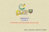 UNIDAD IV CLASE 6 NUTRICIÓN Y METABOLISMO CELULAR (B) Prof.: Segundo Calderón Pinillos.