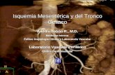 Isquemia Mesent©rica y del Tronco Celiaco Andr©s Tob³n R., M.D. Medicina Interna Fellow Angiolog­a Cl­nica y Laboratorio Vascular Laboratorio Vascular