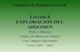 Lección 8 EXPLORACIÓN DEL ABDOMEN Prof. J. Merino Depto. de Medicina Clínica Univ. Miguel Hernández Curso 2001 - 2002 Esquemas de Patología General.