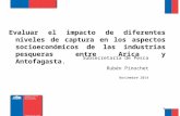 Evaluar el impacto de diferentes niveles de captura en los aspectos socioeconómicos de las industrias pesqueras entre Arica y Antofagasta. Subsecretaría.