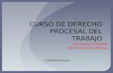 CURSO DE DERECHO PROCESAL DEL TRABAJO SECCION DE POSGRADO Prof. Fernando Elías Mantero COMPARECENCIA.