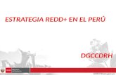 ESTRATEGIA REDD+ EN EL PERÚ DGCCDRH. 1. ENFOQUE DEL PERÚ EN EL MECANISMO REDD+ 2. PROCESO DE PREPARACIÓN PARA REDD+ EN EL PERÚ 3. FRENTES DE INTERVENCIÓN.
