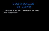 CLASIFICACION DE LISHER Clasifica el malposicionamiento de forma individualizada.