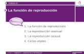 © GELV AULA 360 La función de reproducción 1. La función de reproducción 2. La reproducción asexual 3. La reproducción sexual 4. Ciclos vitales UNIDAD