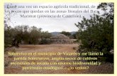 SOTERRANYES BAIXES VINARÒS (CS)-España Un espacio natural que debe ser conservado Asociación de Propietarios para la Defensa de les Soterranyes Érase una.