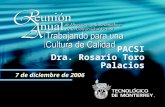 1 PACSI Dra. Rosario Toro Palacios 7 de diciembre de 2006.