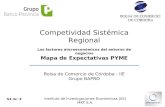 Competividad Sistémica Regional Los factores microeconómicos del entorno de negocios Bolsa de Comercio de Córdoba - IIE Grupo BAPRO Mapa de Expectativas.