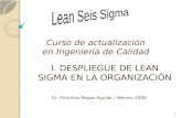 Curso de actualización en Ingeniería de Calidad I.I. DESPLIEGUE DE LEAN SIGMA EN LA ORGANIZACIÓN Dr. Primitivo Reyes Aguilar / febrero 2009 1.