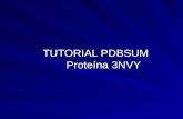 TUTORIAL PDBSUM Proteína 3NVY. El PDB SUM es un sitio web (http://www.ebi.ac.uk/pdbsum/) que recopila http://www.ebi.ac.uk/pdbsum/ y organiza la información.
