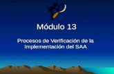 Módulo 13 Procesos de Verificación de la Implementación del SAA.