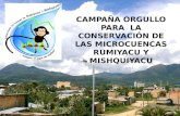 CAMPAÑA ORGULLO PARA LA CONSERVACIÓN DE LAS MICROCUENCAS RUMIYACU Y MISHQUIYACU.