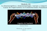 Módulo III La bioenergética y fenomenología: cuerpo y consciencia Curso de Especialista en Constelaciones Familiares Aníbal Pérez Maracay, 17 de agosto.