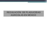 1 REGULACIÓN DE PLAGUICIDAS AGRICOLAS EN MÉXICO. 2 TEMAS A ABORDAR Marco legal Marco legal Información necesaria para registro Información necesaria para.