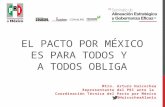 EL PACTO POR MÉXICO ES PARA TODOS Y A TODOS OBLIGA Mtro. Arturo Huicochea Representante del PRI ante la Coordinación Técnica del Pacto por México @HuicocheaAlanis.