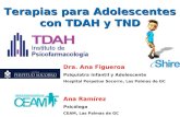 Terapias para Adolescentes con TDAH y TND Dra. Ana Figueroa Psiquiatra Infantil y Adolescente Hospital Perpetuo Socorro, Las Palmas de GC Ana Ramírez Psicóloga.