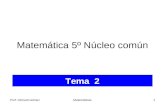 Prof. Richard G³mezMatemticas1 Tema 2 Matemtica 5 Ncleo comn