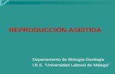 REPRODUCCIÓN ASISTIDA Departamento de Biología-Geología I.E.S. “Universidad Laboral de Málaga”