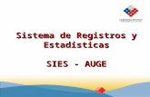 Sistema de Registros y Estadísticas SIES - AUGE. Subsistemasasociados al AUGE Sistema de Información Gestión de Reclamos Intermediación comercial Intermediación.