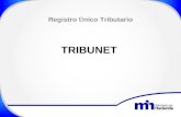Registro Ú nico Tributario TRIBUNET. Procedimiento para la Modificación de datos en el Registro Único Tributario.
