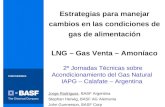 Estrategias para manejar cambios en las condiciones de gas de alimentación LNG – Gas Venta – Amoníaco Jorge Rodriguez, BASF Argentina Stephan Herwig, BASF.