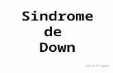 Sindrome de Down Gracias Mª Angeles “Clic” para continuar..... Conectar sonido. Quizás no te parezca muy “seria” esta forma de analizar uno de los trastornos.