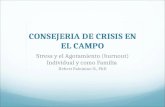 CONSEJERIA DE CRISIS EN EL CAMPO Stress y el Agotamiento (burnout) Individual y como Familia Hebert Palomino O., PhD.