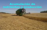 Acumulación de nutrientes y producción. Importancia de la desnutrición en el mundo Aspectos básicos de la nutrición para la producción de biomasa Suelos.