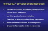 ONCOLOGÍA Y ESTUDIOS EPIDEMIOLÓGICOS Describir la incidencia, mortalidad, prevalencia de los tumores en las poblaciones Identificar posibles factores etiológicos.