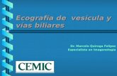 Ecografía de vesícula y vías biliares Dr. Marcelo Quiroga Felipez Especialista en Imagenología.