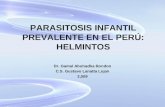 PARASITOSIS INFANTIL PREVALENTE EN EL PERÚ: HELMINTOS Dr. Gamal Abuhadba Rondon C.S. Gustavo Lanatta Lujan 2,009.