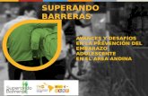 SUPERANDO BARRERAS AVANCES Y DESAFÍOS EN LA PREVENCIÓN DEL EMBARAZO ADOLESCENTE EN EL AREA ANDINA.