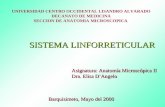UNIVERSIDAD CENTRO OCCIDENTAL LISANDRO ALVARADO DECANATO DE MEDICINA SECCION DE ANATOMIA MICROSCOPICA SISTEMA LINFORRETICULAR Asignatura: Anatomía Microscópica.