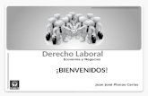 Derecho Laboral Economía y Negocios ¡BIENVENIDOS! Juan José Planas Carías.