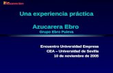 Una experiencia práctica Azucarera Ebro Grupo Ebro Puleva Encuentro Universidad Empresa CEA – Universidad de Sevilla 10 de noviembre de 2005.