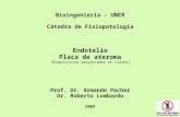 Bioingeniería - UNER Cátedra de Fisiopatología Endotelio Placa de ateroma (diapositivas proyectadas en clases) Prof. Dr. Armando Pacher Dr. Roberto Lombardo.