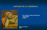 CEFALEA EN LA URGENCIA Dra. Maria Teresa Goicochea Neurologìa FLENI Reposo.P.Picasso. 1908.