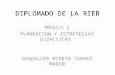 DIPLOMADO DE LA RIEB MODULO 3 PLANEACION Y ESTRATEGIAS DIDACTICAS. GUADALUPE MIREYA TORRES MARIN.