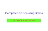 Competencia sociolingüística La Norma y subnormas.
