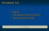 Unidad 12 - GEN - TRANSCRIPCION - TRADUCCION - GEN - TRANSCRIPCION - TRADUCCION EL PRESENTE MATERIAL ES UNA SÍNTESIS QUE NO REEMPLAZA, SINO QUE COMPLEMENTA,