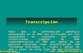 Bioqímica III Prof. Humberto González M. TranscripciónTranscripción Para que la información genética almacenada en el DNA sea utilizada por los organismos.