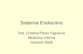 Sistema Endocrino Dra. Cristina Pérez Figueroa Medicina Interna Octubre 2008.