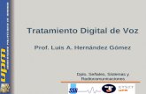 Tratamiento Digital de Voz Prof. Luis A. Hernández Gómez Dpto. Señales, Sistemas y Radiocomunicaciones.