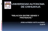 UNIVERSIDAD AUTONOMA DE CHIHUAHUA “RELACION ENTRE GENES Y PROTEINAS.” JOSE ALFREDO SOTO ALONSO 212679.