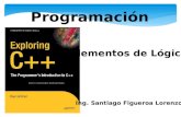 Programación Elementos de Lógica Ing. Santiago Figueroa Lorenzo.