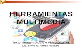 HERRAMIENTAS MULTIMEDIA Texto, Imagen, Audio y Vídeo DIGITAL Lic. Elvira G. Flores Rosales.